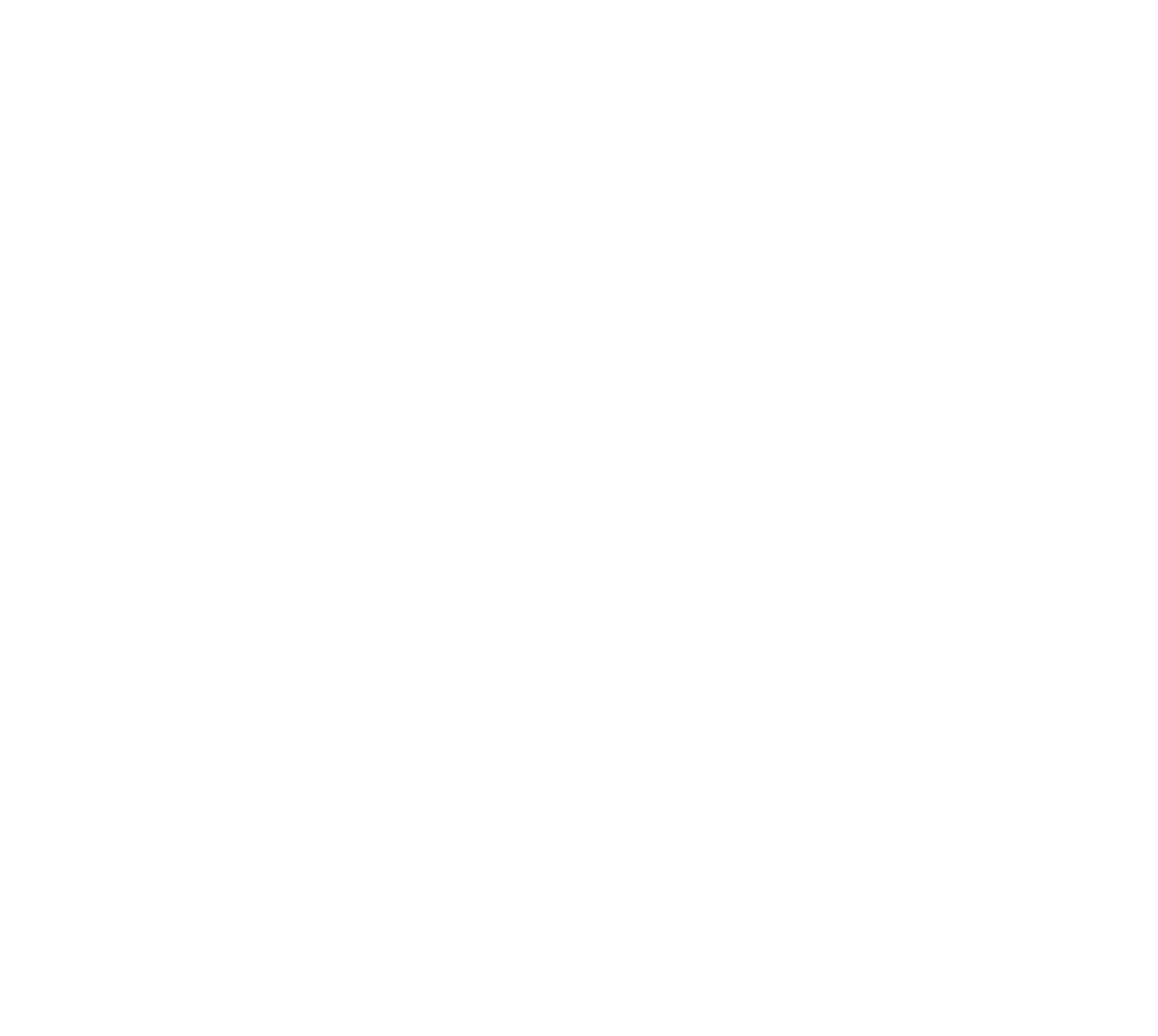 CZ Logo
